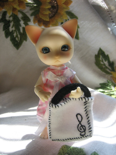 Ginger musical sunny cat