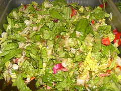 flower and lettuce salad