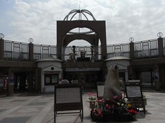 大阪　天王寺動物園　20100411