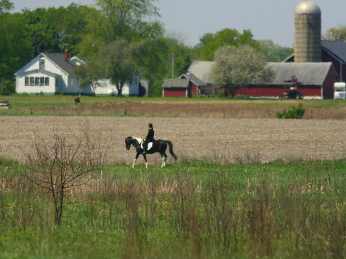 Pony and Farm 2-20100428