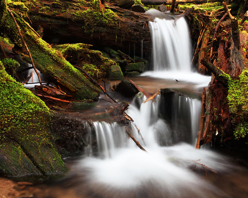 フリー写真素材|自然・風景|川・河川|滝|アメリカ合衆国|オレゴン州|