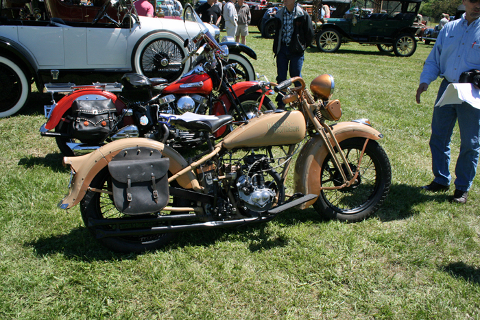 Brass in the Grass Harley