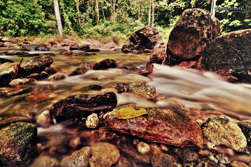 The flow | HDR (by Sir Mart Outdoorgraphy™)