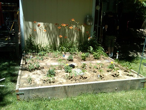 The garden June 18, 2010