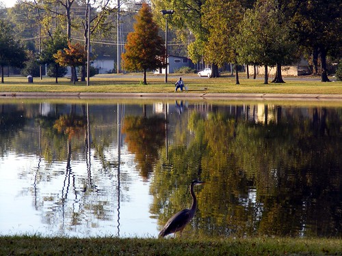 Across the lake at W.C. Patton Park. acnatta/Flickr