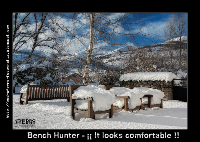El cazador de bancos - Bench Hunter Part XVIII - ¡¡¡ It looks comfortable !!!