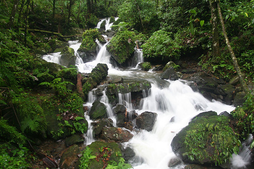 Juan Diego Creek waterfall