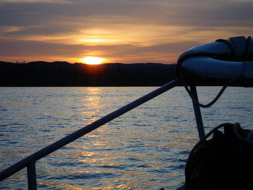 Springer fishing sunrise