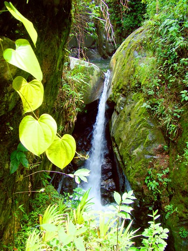 Cascada Monte Perla