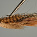 Mcknight's Home Invader Streamer Natural/Olive Grizzly by Doug McKnight's Bigwater Studio