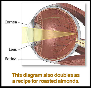lens-cornea-retina-diagram