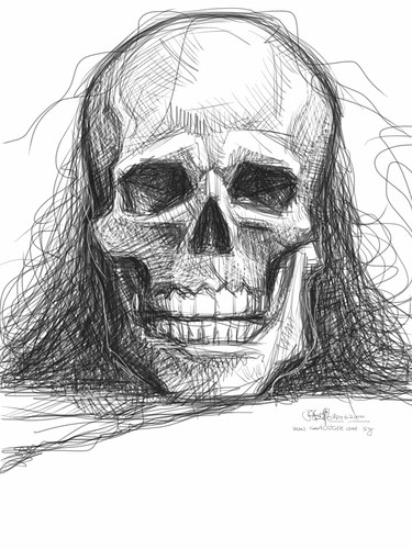 skull study 3 on iPad