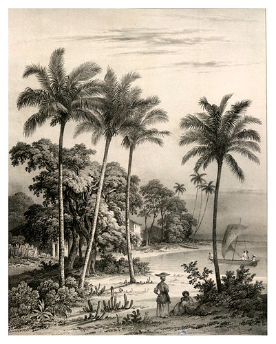 011- Vista de la costa cerca de Bahia- Bichebois Alphonse- Viagem pitoresca através do Brasil 1827