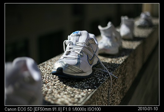 20100110Shoes