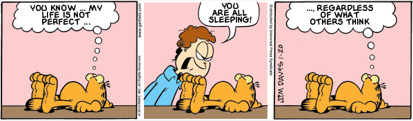 Garfield: Lost in Translation, January 20, 2010