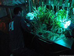 Jameson Cult Film Club Presents Moon - Sam Bell tends his plants while Sam Bell watches
