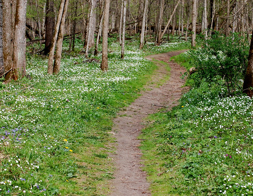 Path Whitewater State Park, MN