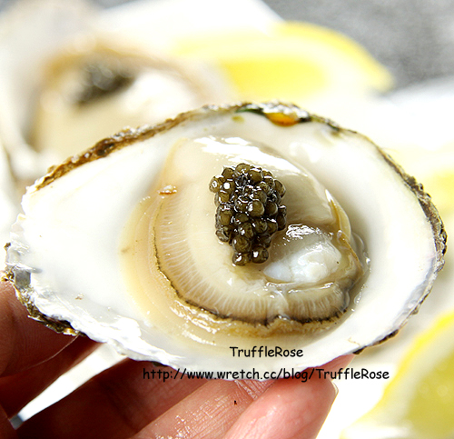 荷蘭扁蠔 (Platte oesters)-100512