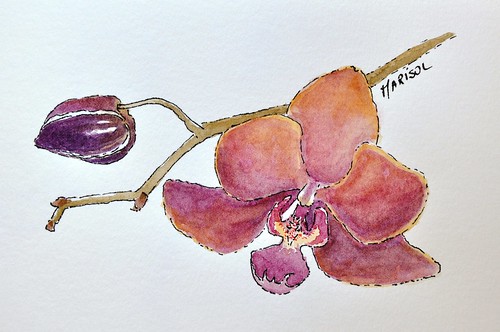 Orchids in watercolor