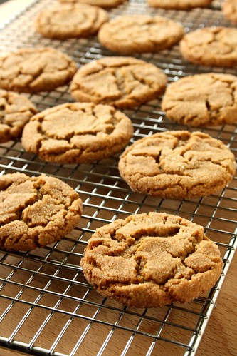 Old-Fashion Ginger Biscuits