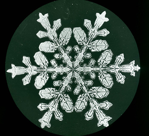 Wilson Bentley Snowflake 1100 by verylegalmuffin