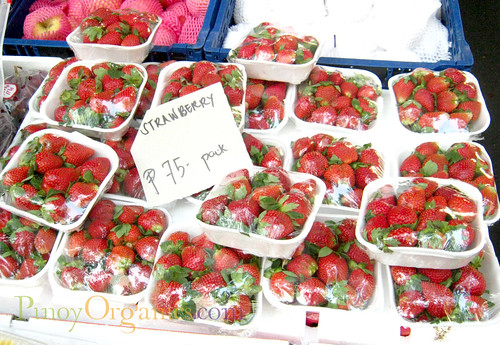 Salcedo Market-strawberries
