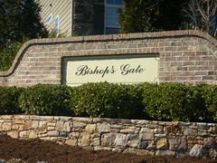Cary NC Bishop's Gate homes for sale,Linda Lohman