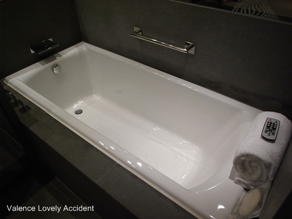 W Hotel Room 3819 浴缸