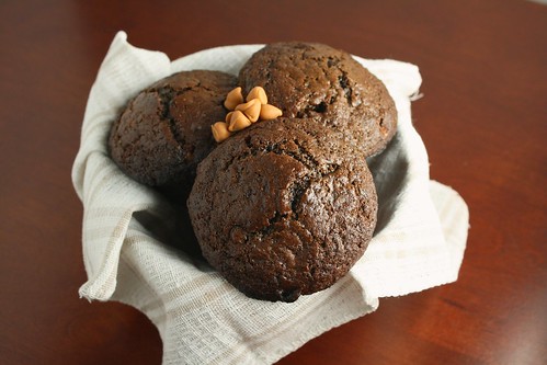 Double Chocolate Butterscotch Muffins