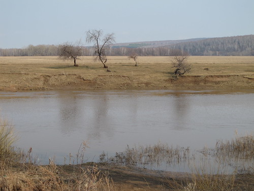 Река Дёма около Бочкаревки