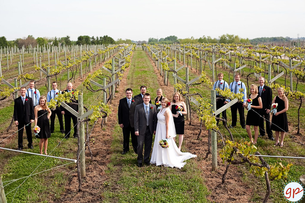 Vineyard wedding party