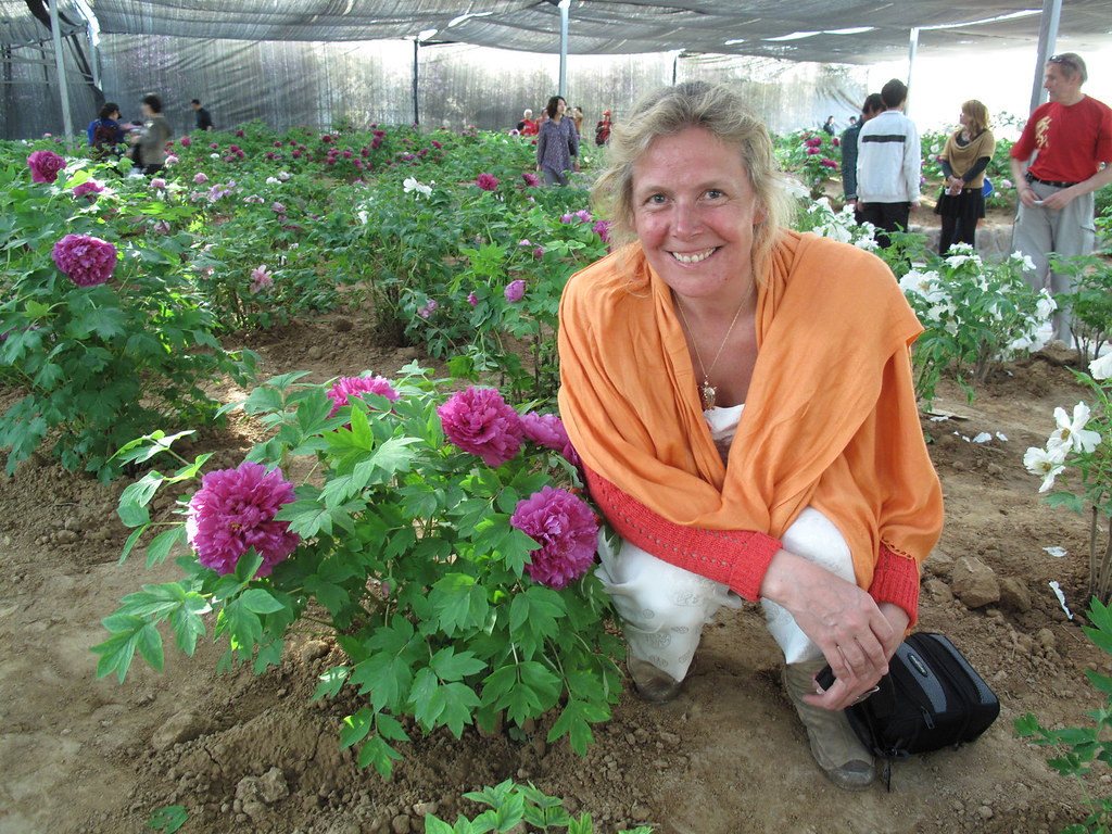Taiji teacher Pamela Hiley in the peony garden