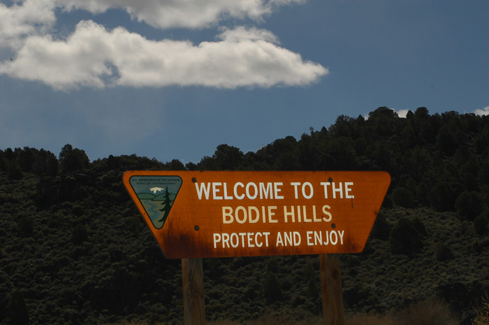 The beautiful Bodie Hills.