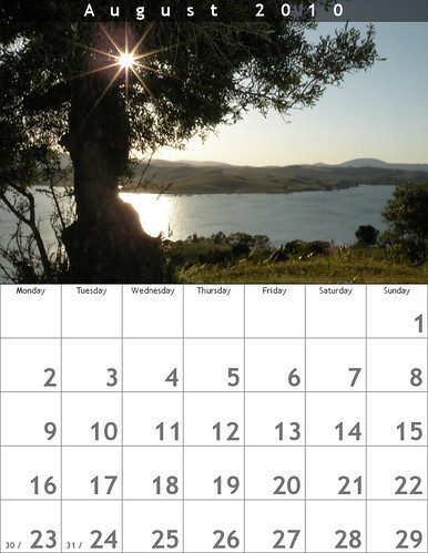 El Olivo, el Sol y el agua. Calendario. Mes Agosto 2010