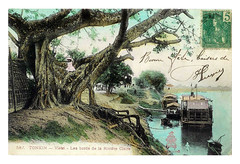 TONKIN - Vietri - les bords de la rivière Claire (Sông Lô) - 1907