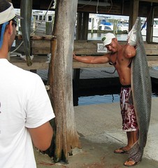 Fisherman Reels in Gar