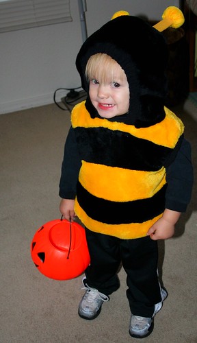 he is a bee!