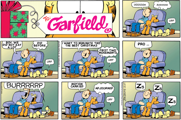 Garfield: Lost in Translation, December 27, 2009