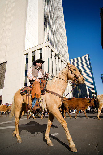 National Western Stock Show Parade