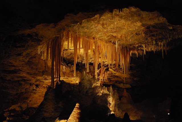 Stalactites - Victoria Fossil Cave, Naracoorte Caves National Park