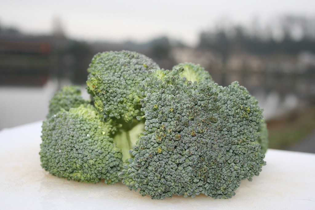 Capay Farms Broccoli