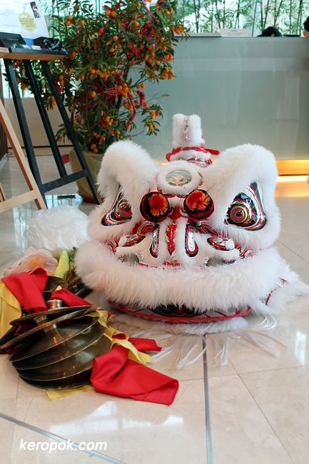 Head of the Lion from the Lion Dance