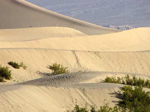 Mesquite Flat Dunes-6