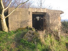 Starfish Bunker, Errington Woods