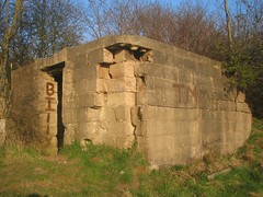 Starfish Bunker, Errington Woods