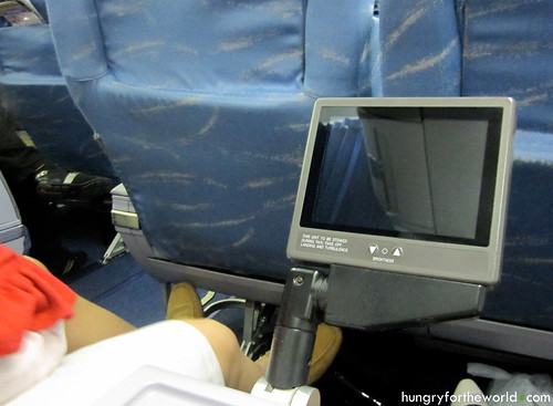 individual seat monitors