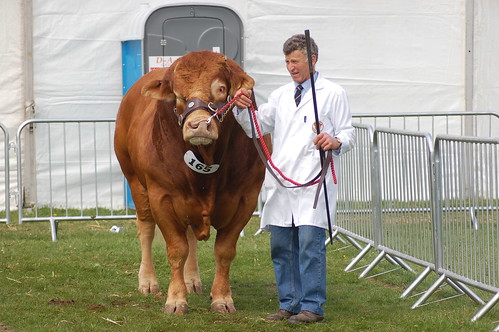 Northumberland County Show May 10 17