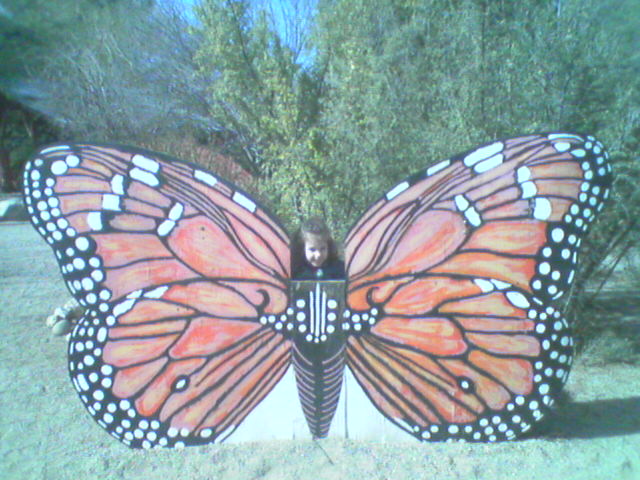 Butterfly Miranda