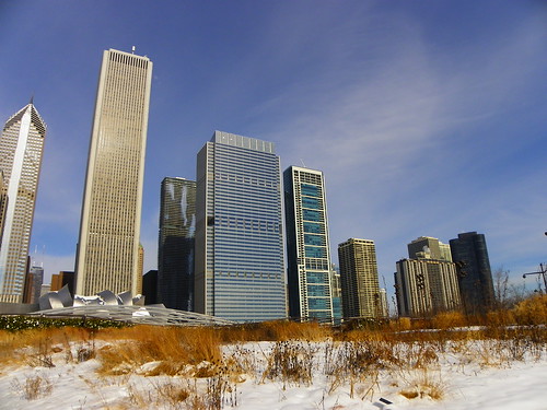 Chicago architecture (21)