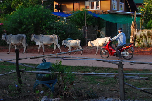 Day 2: Visit to a Thai Village